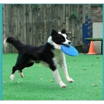 Dog Toy Flying Discs Pet Dogs Silicone Game Trainning Interactive Puppy Toys Puppy Pet Supplies